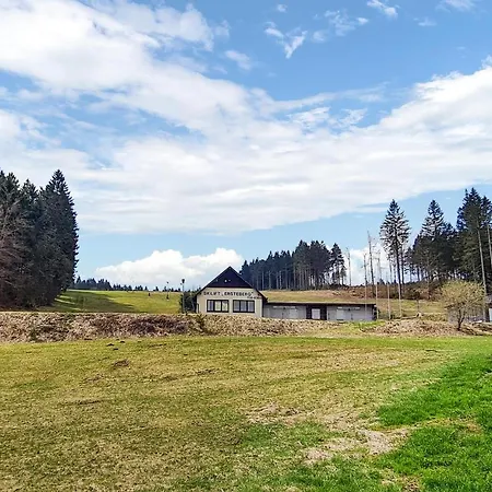Pet Friendly In Masserberg With Wifi * Fehrenbach